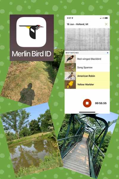 Merlin Bird ID app