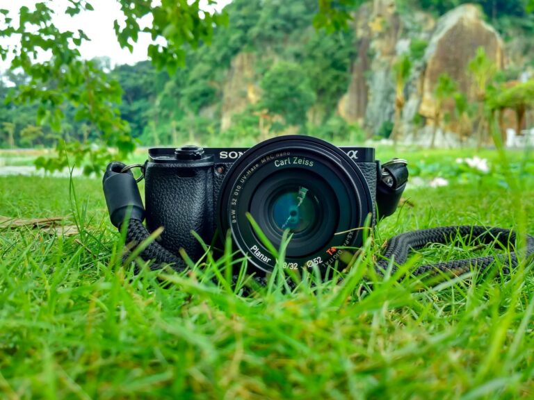 Best Camera for Bird Photography: Top Picks for Sharp Wildlife Shots